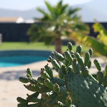 Exceptional With Pool Villa
