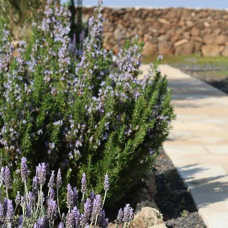 Villa Exceptional With Pool Villaverde (Fuerteventura)