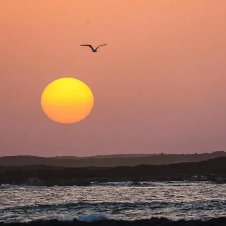 Villa Exceptional With Pool Villaverde (Fuerteventura)